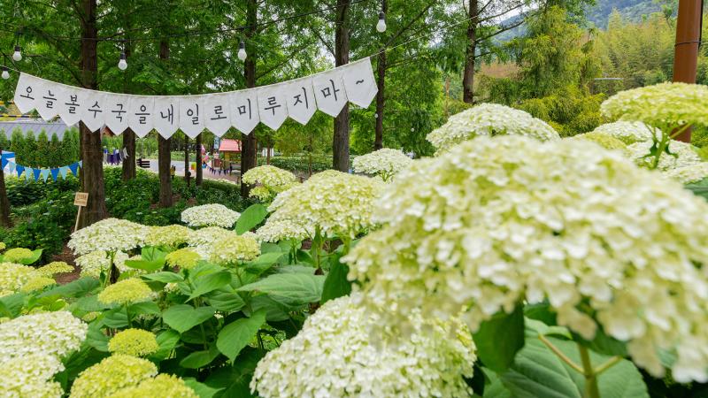 진주 같은 정원, 정원 속의 진주