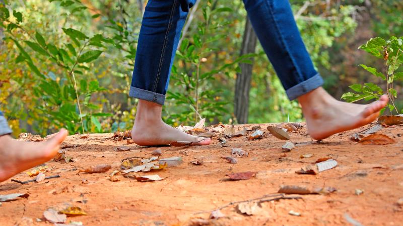 월아산 숲속의 진주 맨발로 숲에 볿으러 오이소